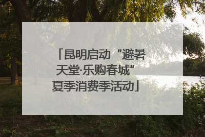 昆明启动“避暑天堂·乐购春城”夏季消费季活动
